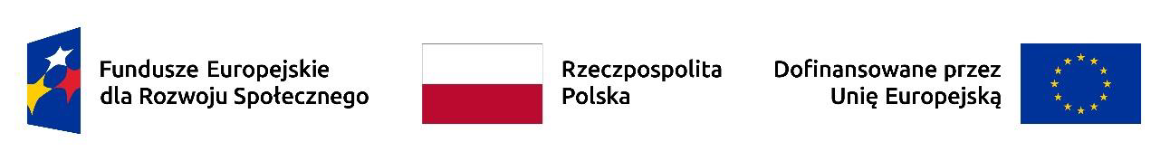 Logo Logo Funduszy Europejskich, Flaga PL, Flaga UE