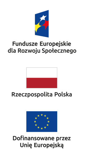 Logo Funduszy Europejskich